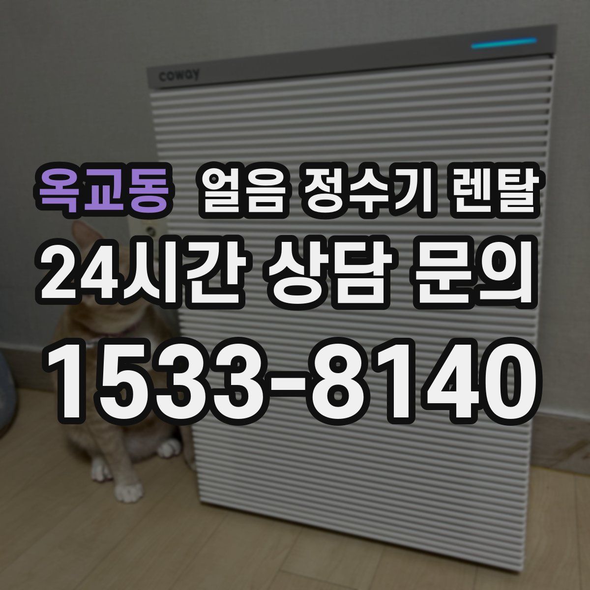 옥교동 얼음 정수기 렌탈