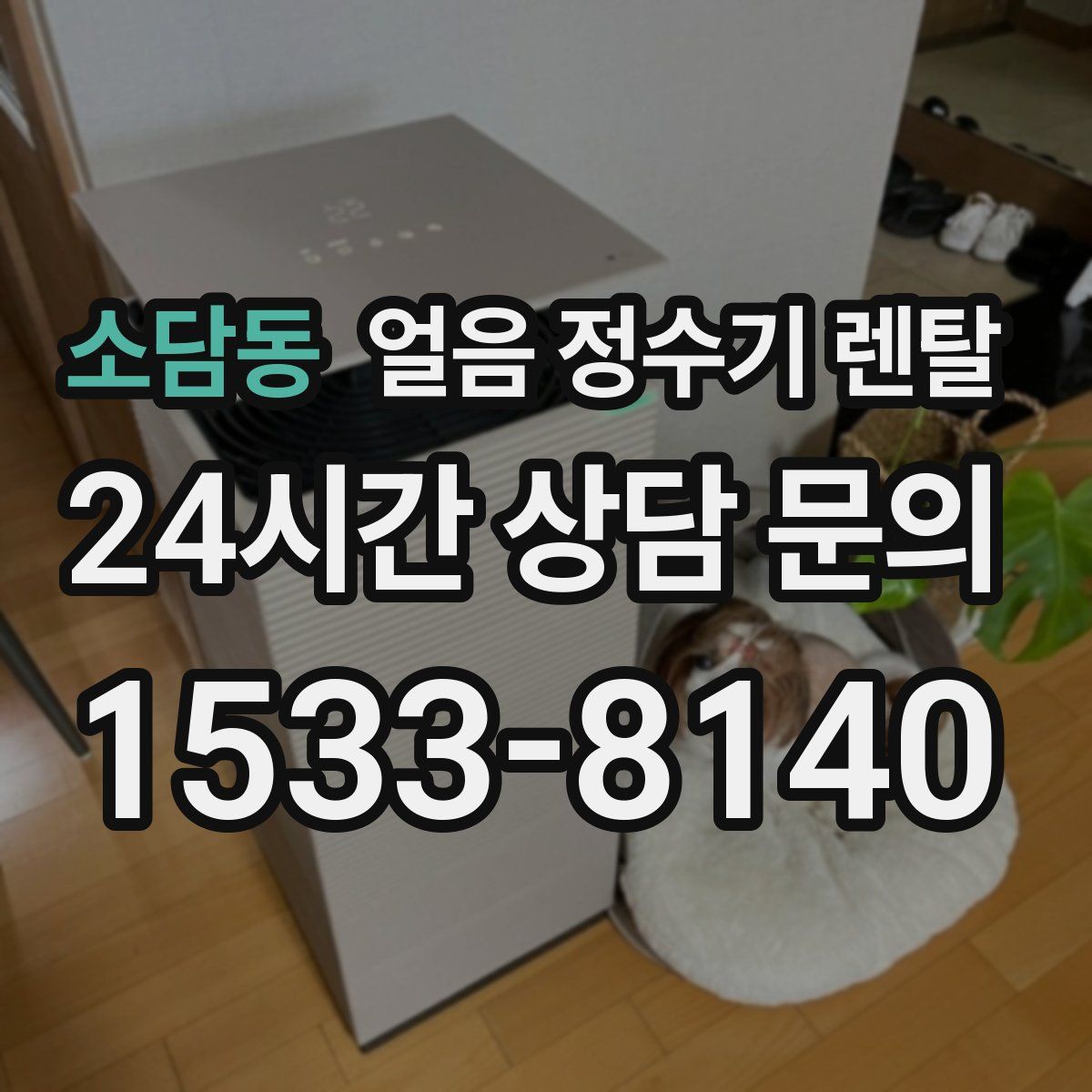 소담동 얼음 정수기 렌탈