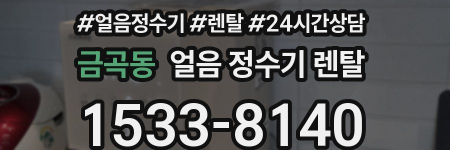 금곡동 얼음 정수기 렌탈