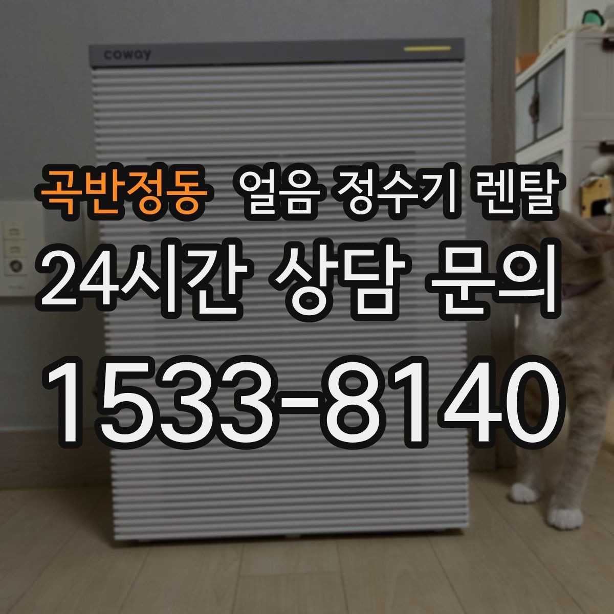 곡반정동 얼음 정수기 렌탈 장기 외출 전 제빙 기능 설정 팁