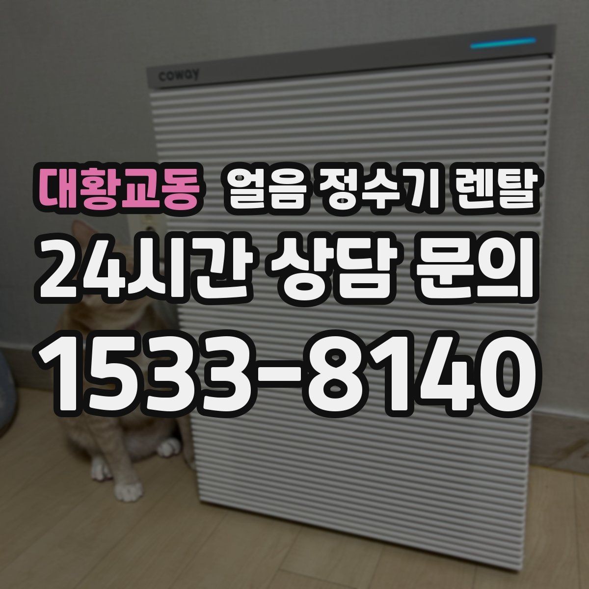대황교동 얼음 정수기 렌탈 설치비 등록비 포함 여부 체크