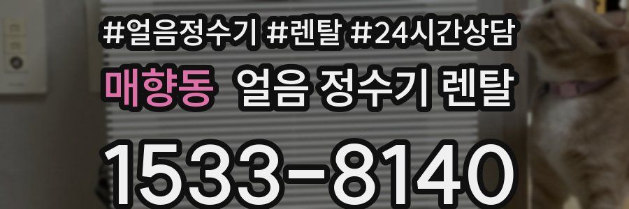 매향동 얼음 정수기 렌탈