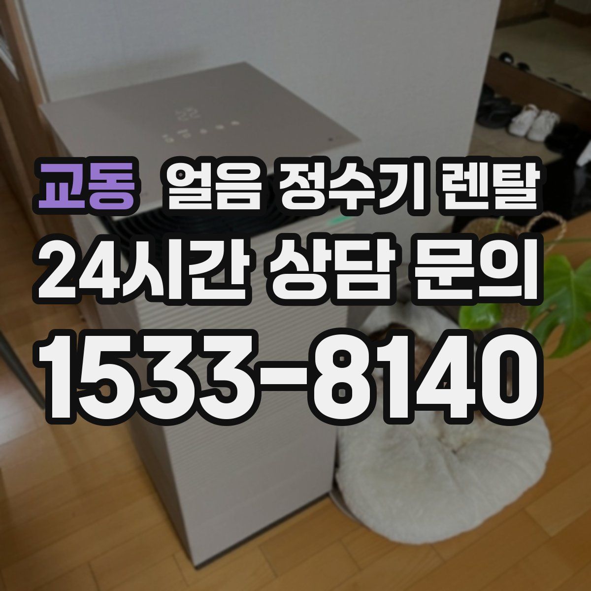 교동 얼음 정수기 렌탈