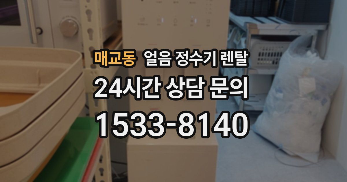 매교동 얼음 정수기 렌탈