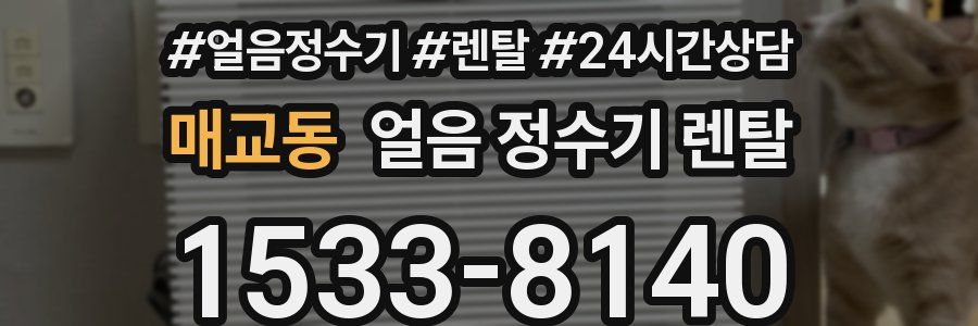 매교동 얼음 정수기 렌탈