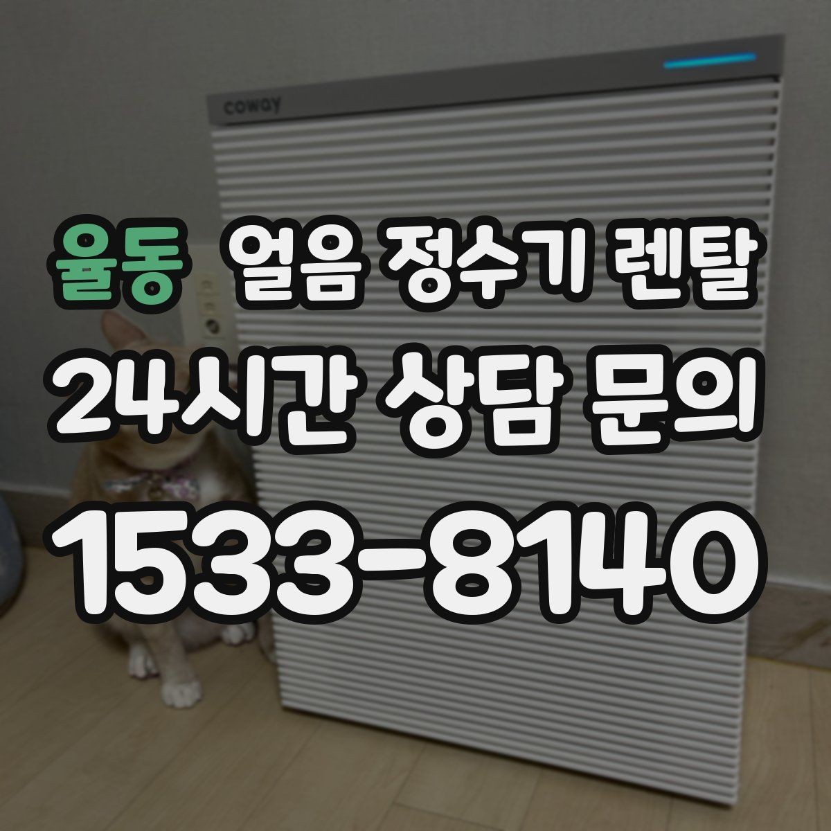 율동 얼음 정수기 렌탈 냉동실 얼음 냄새가 싫다면 바꿔볼 선택