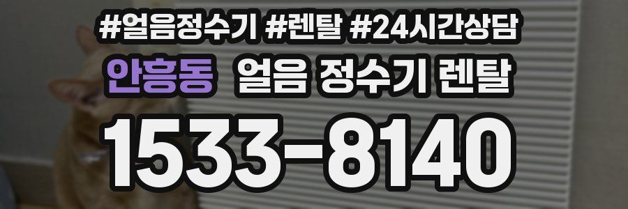 안흥동 얼음 정수기 렌탈