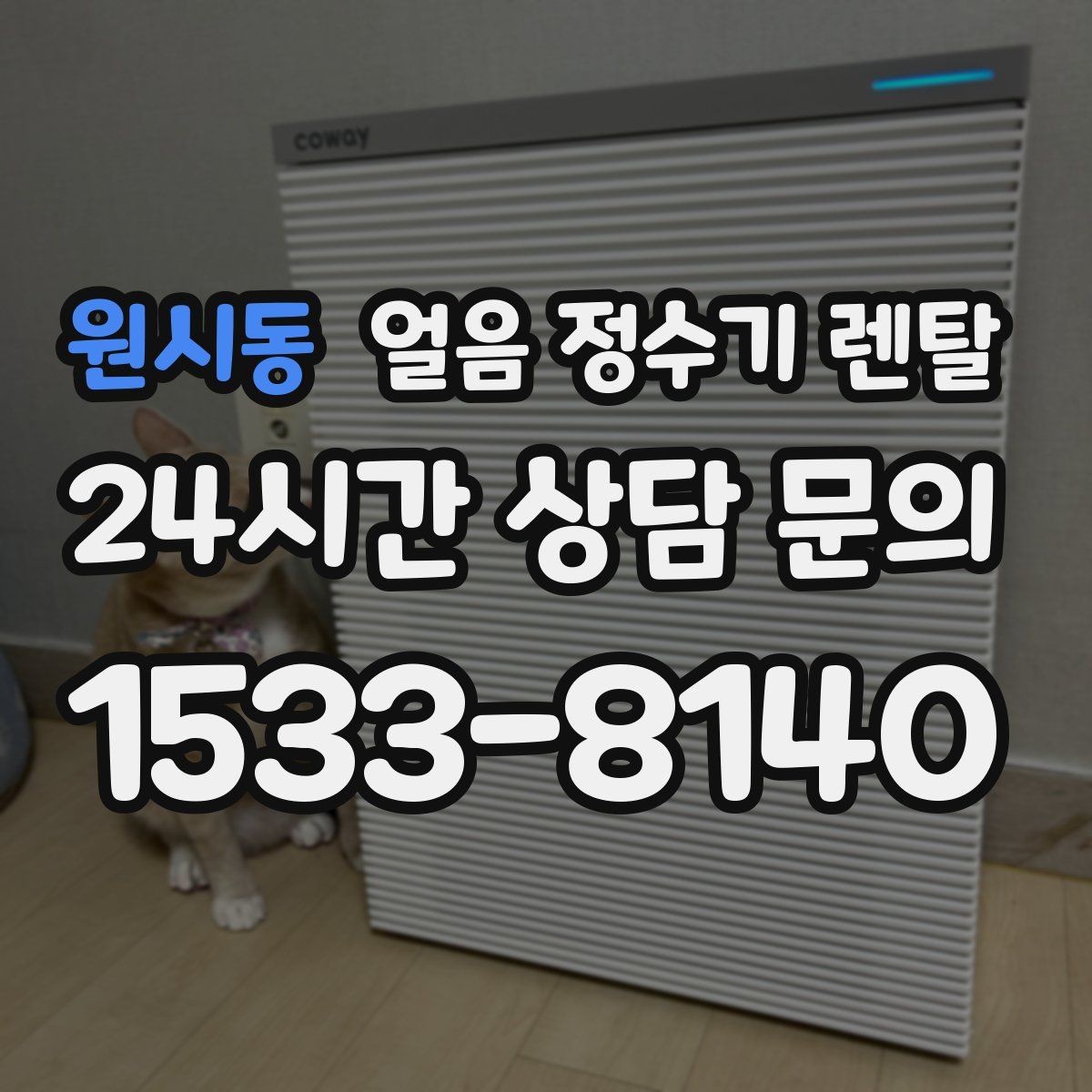 원시동 얼음 정수기 렌탈 필터 교체 시기가 얼음 맛에 영향을 주는 이유