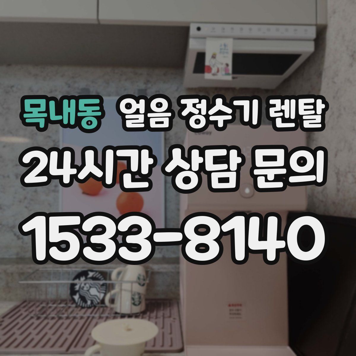 목내동 얼음 정수기 렌탈