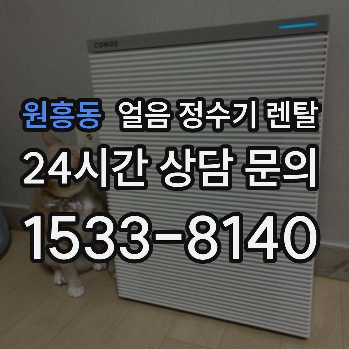 원흥동 얼음 정수기 렌탈 얼음과 탄산 조합이 편해지는 이유