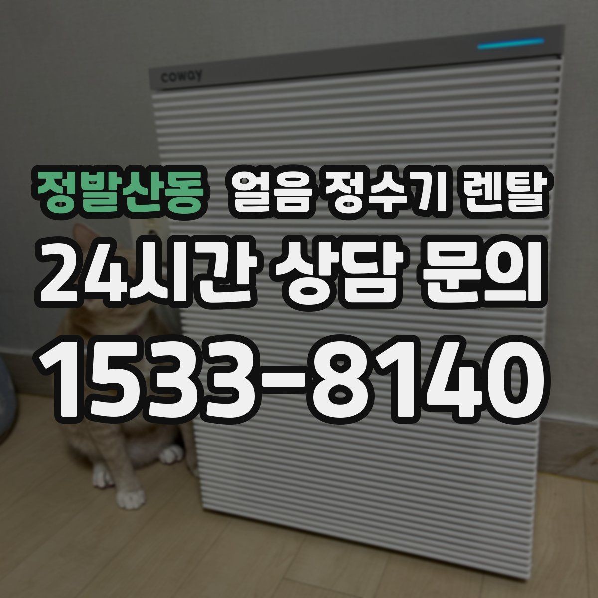 정발산동 얼음 정수기 렌탈 여름엔 물론 겨울에도 찾는 이유