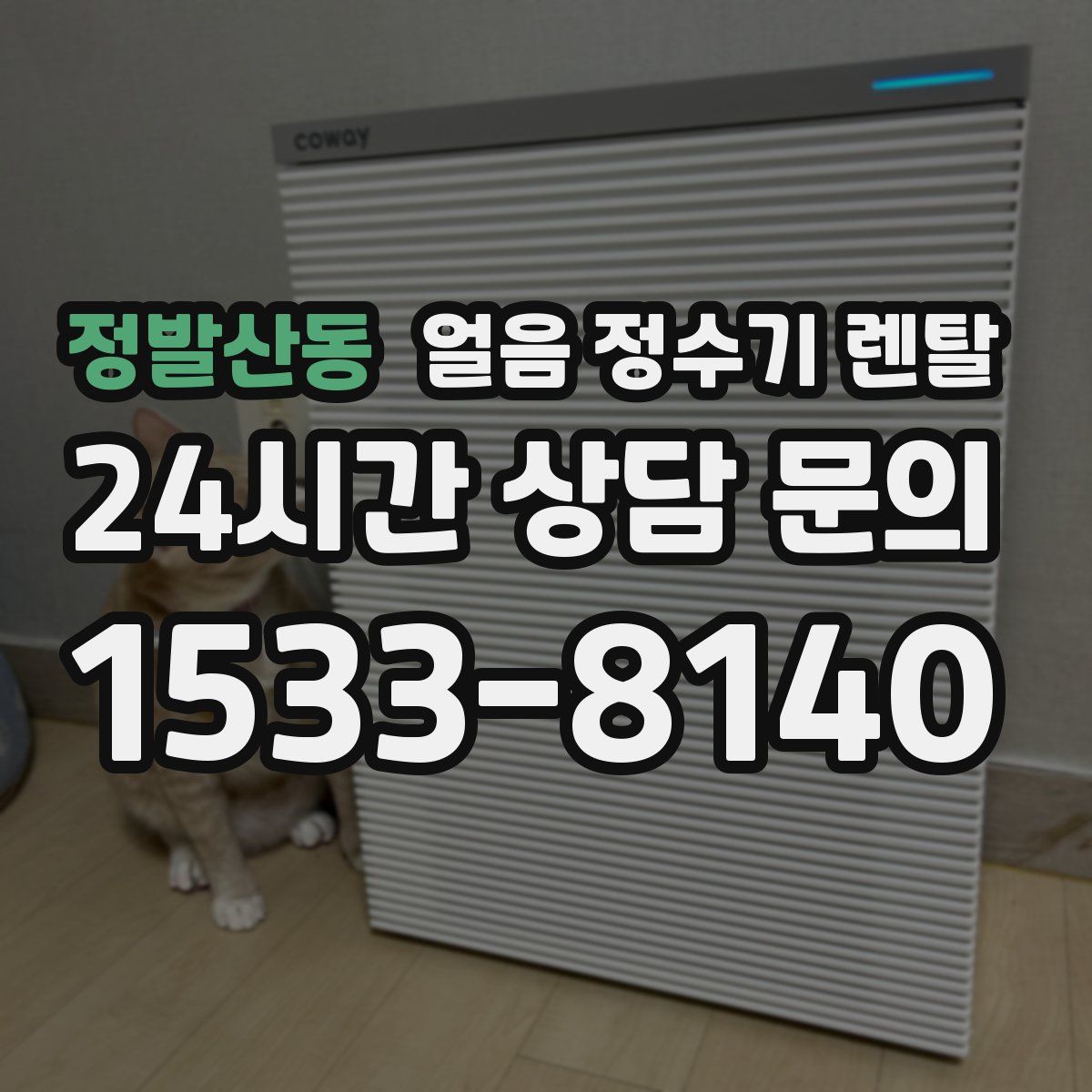 정발산동 얼음 정수기 렌탈