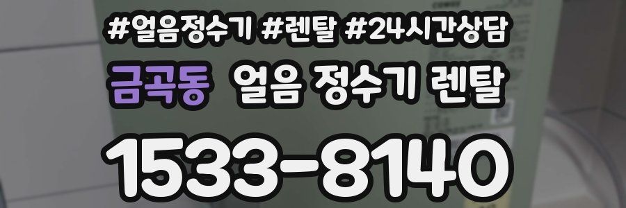 금곡동 얼음 정수기 렌탈