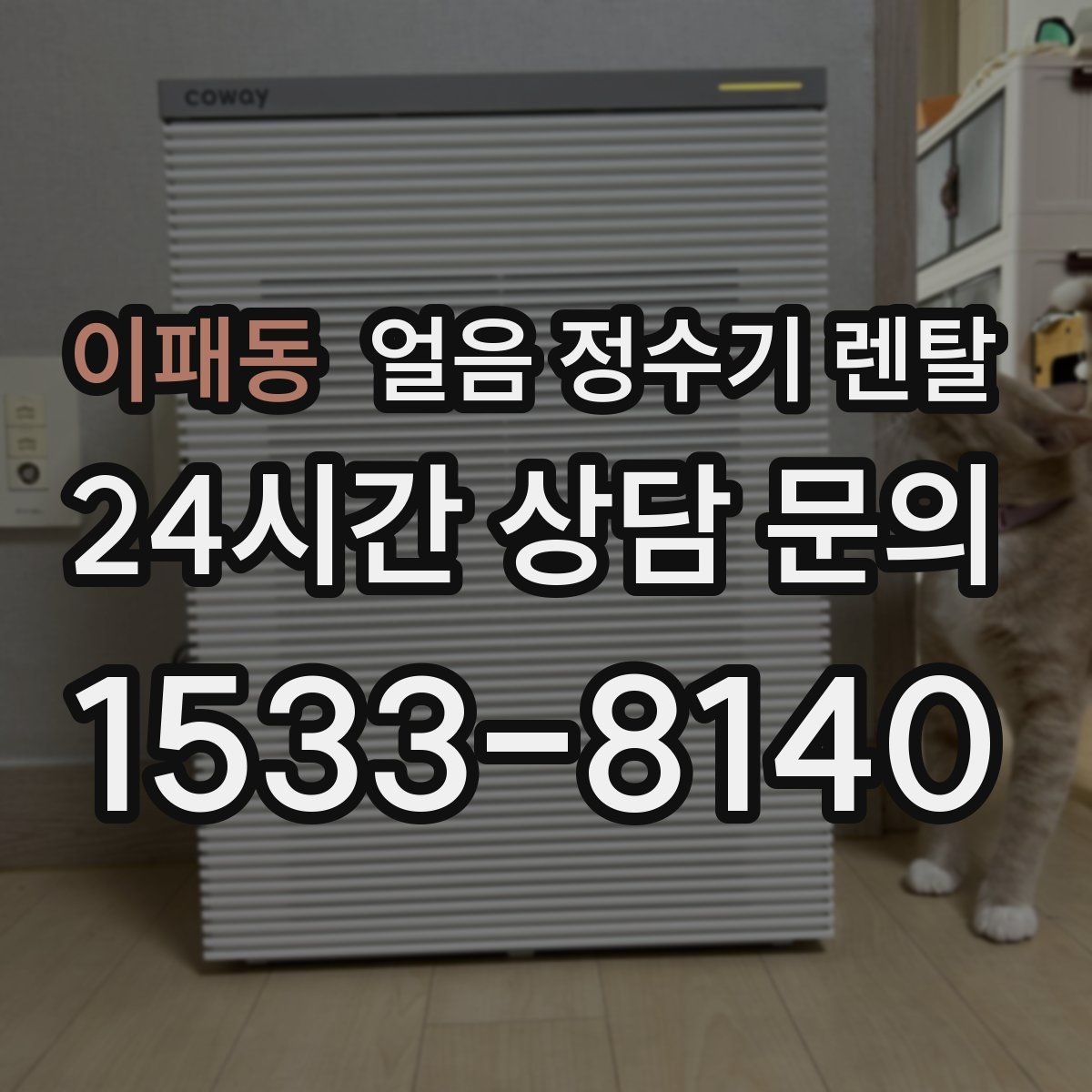 이패동 얼음 정수기 렌탈 얼음 저장고 냄새가 날 때 해결 방향