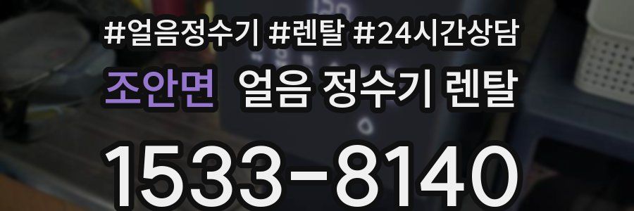 조안면 얼음 정수기 렌탈