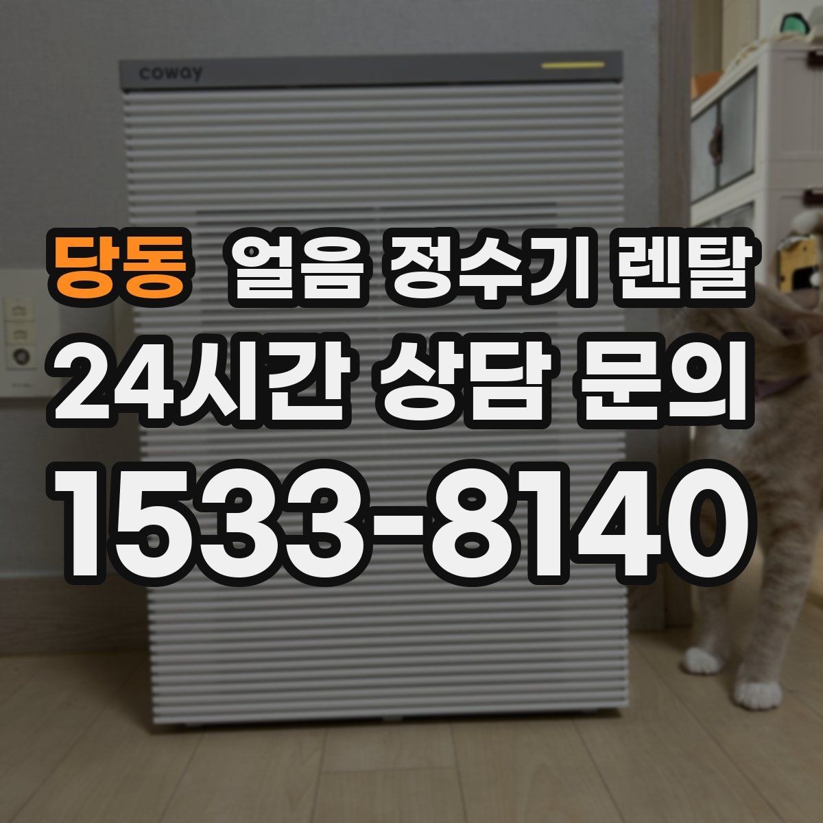 당동 얼음 정수기 렌탈 집에서도 얼음이 바로 나오는 편리함