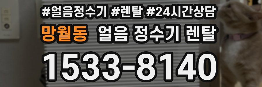 망월동 얼음 정수기 렌탈