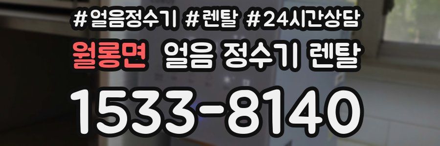 월롱면 얼음 정수기 렌탈