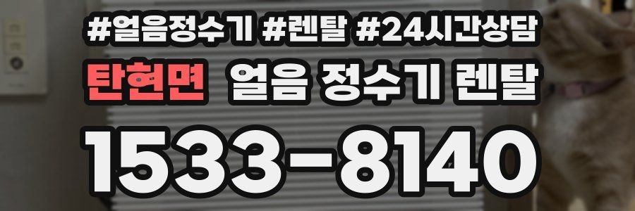 탄현면 얼음 정수기 렌탈