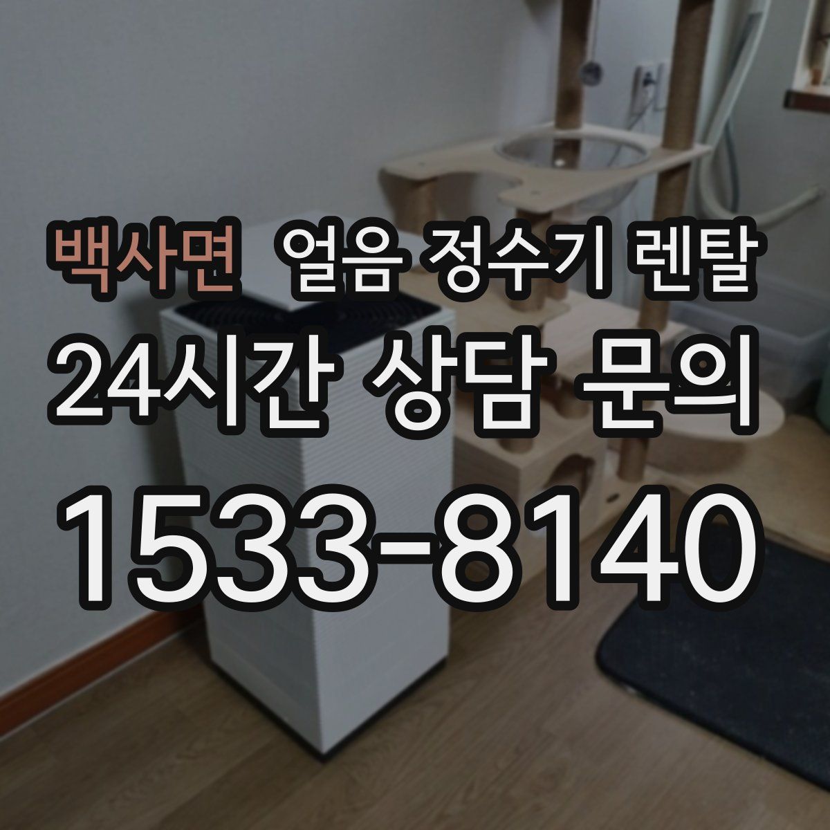 백사면 얼음 정수기 렌탈