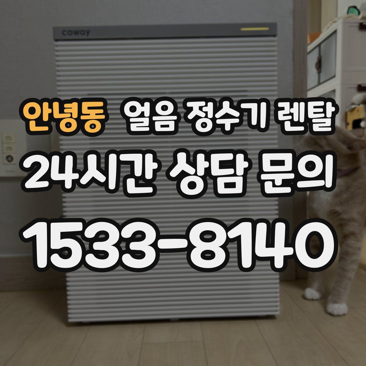 안녕동 얼음 정수기 렌탈