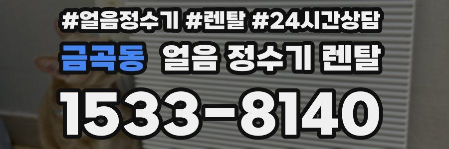 금곡동 얼음 정수기 렌탈