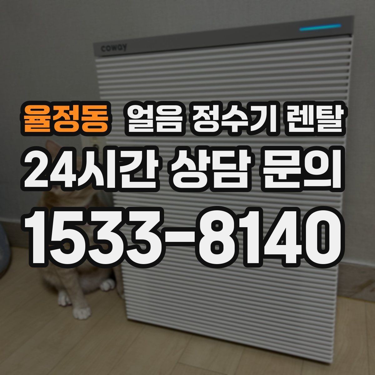 율정동 얼음 정수기 렌탈 자동 세척 자동 살균 기능 비교 포인트