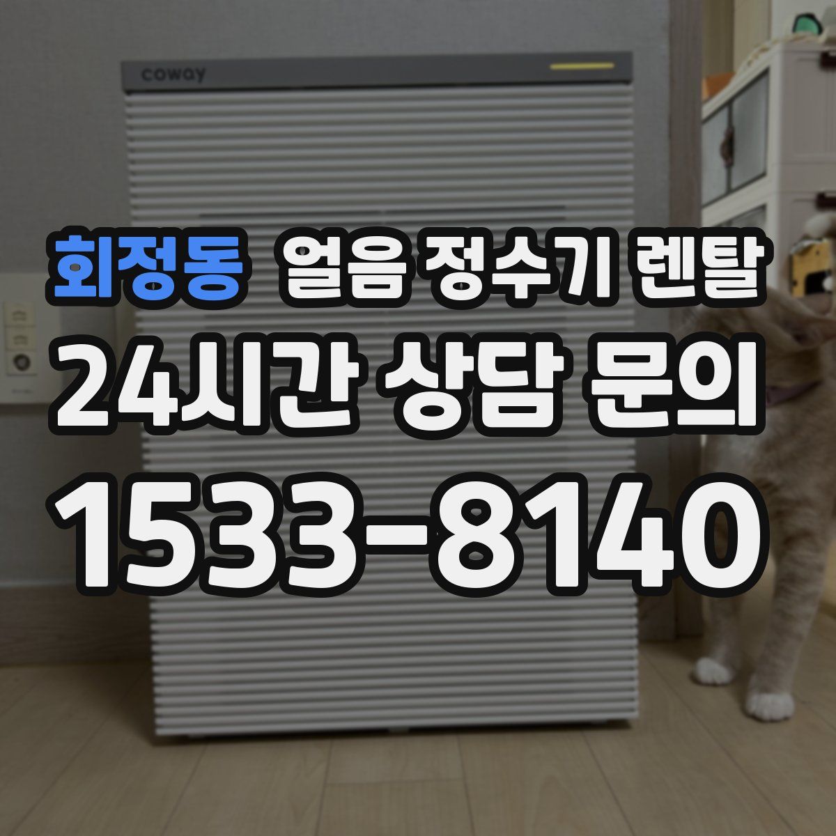 회정동 얼음 정수기 렌탈