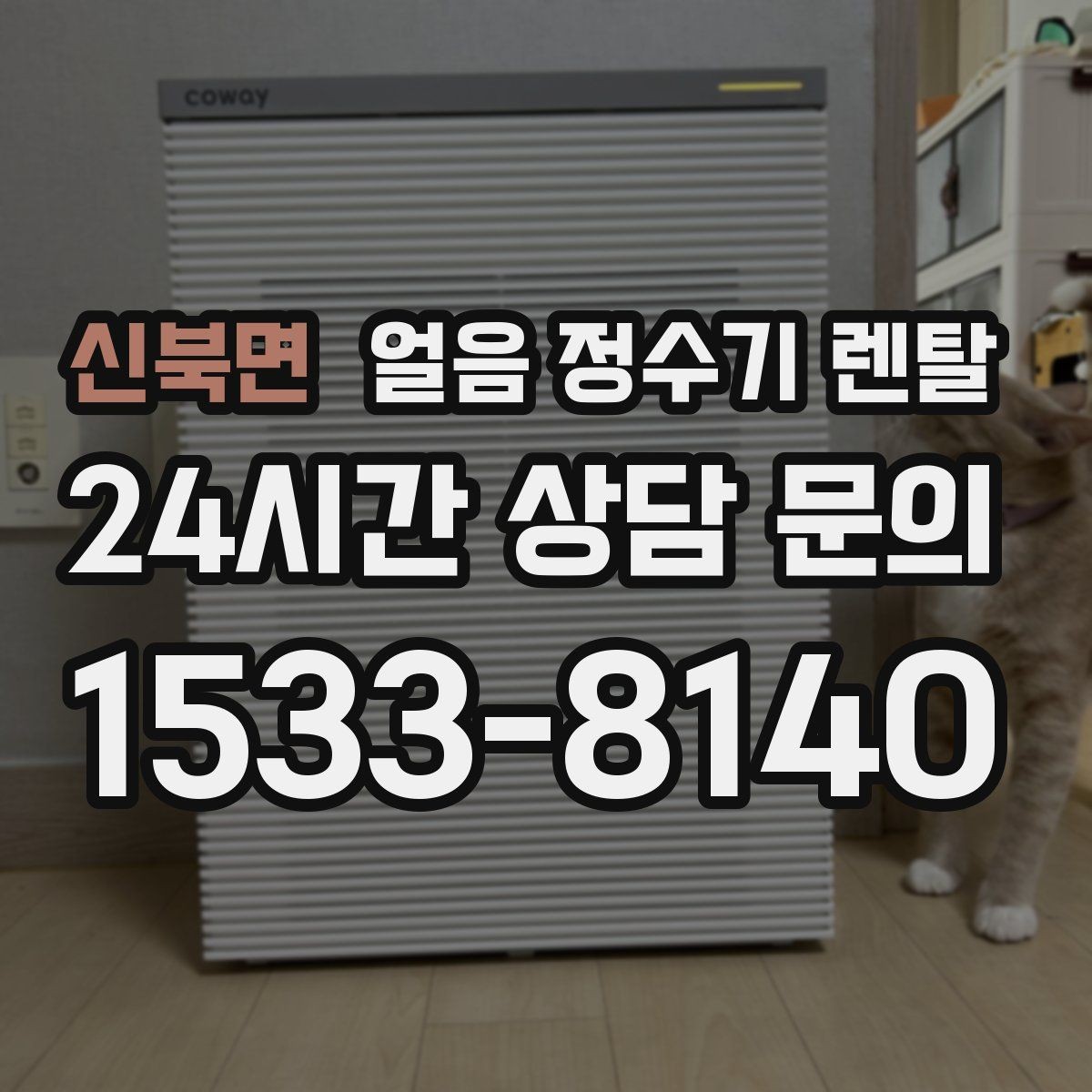 신북면 얼음 정수기 렌탈 텀블러에 얼음 받기 편한 출수구 높이