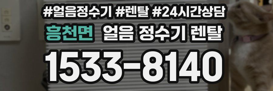 흥천면 얼음 정수기 렌탈