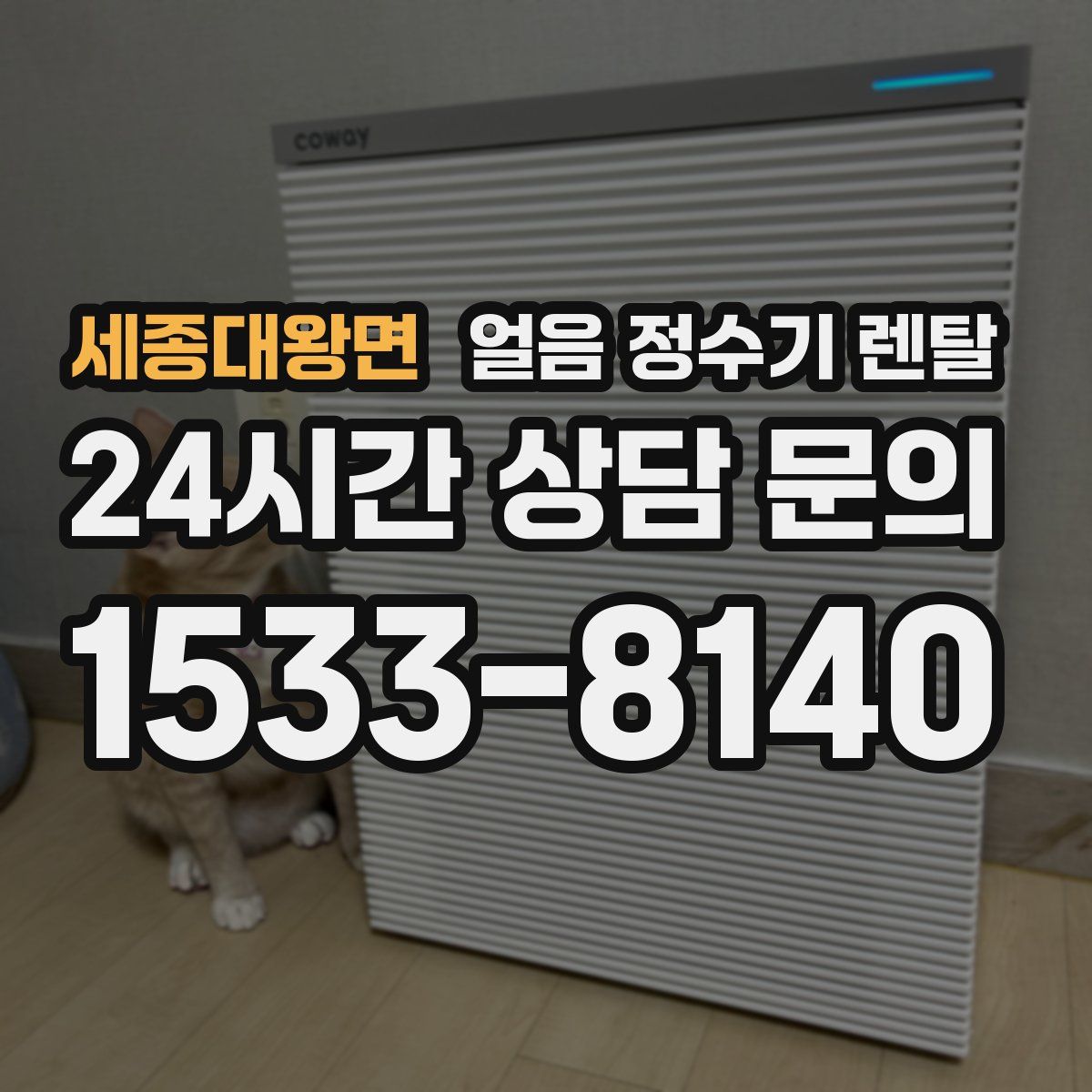 세종대왕면 얼음 정수기 렌탈