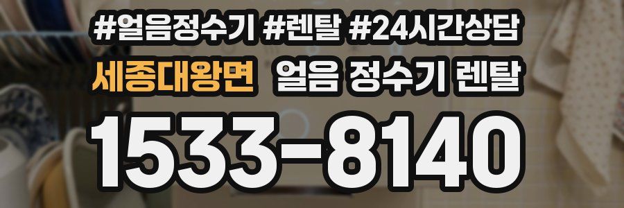 세종대왕면 얼음 정수기 렌탈