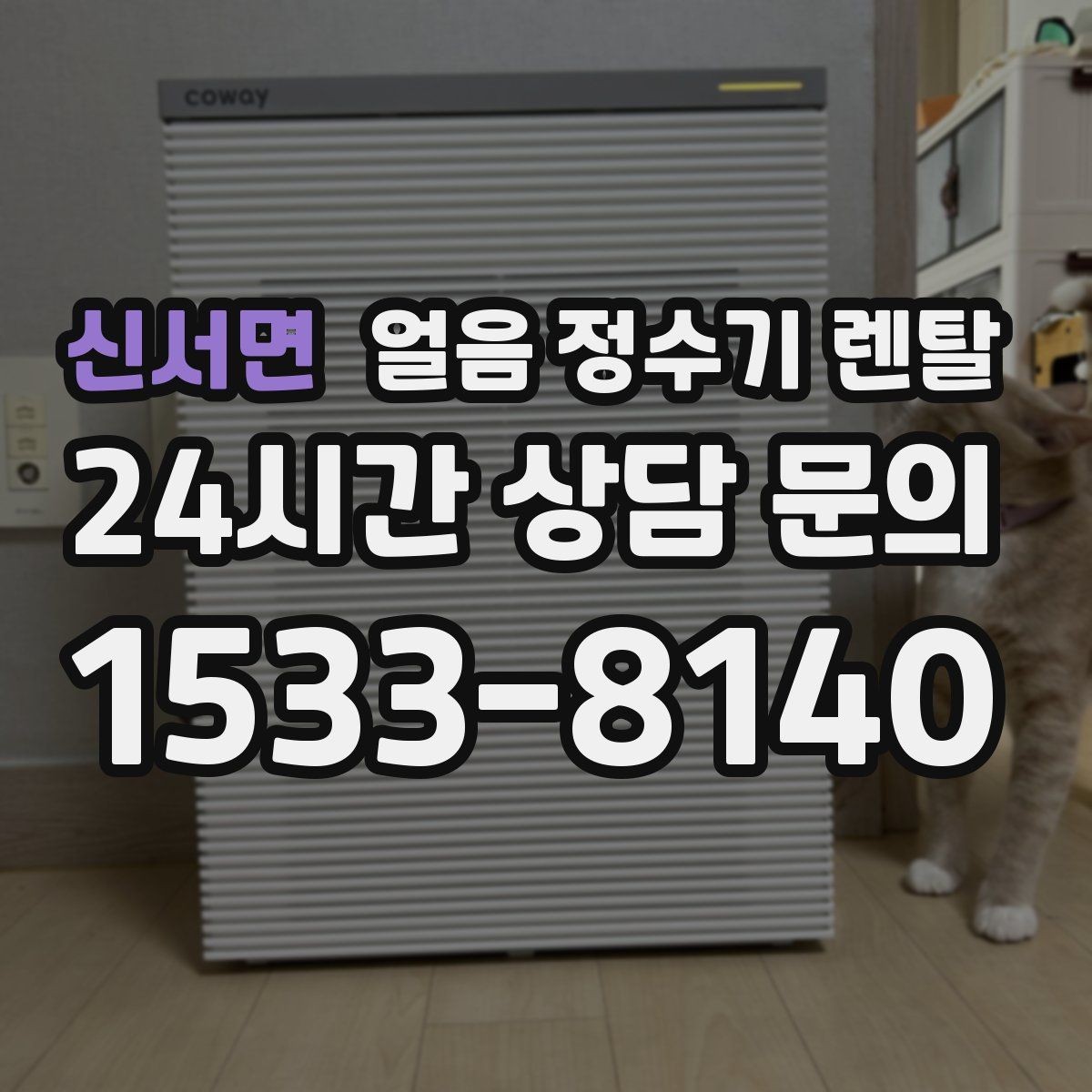 신서면 얼음 정수기 렌탈 소음이 걱정될 때 확인할 포인트
