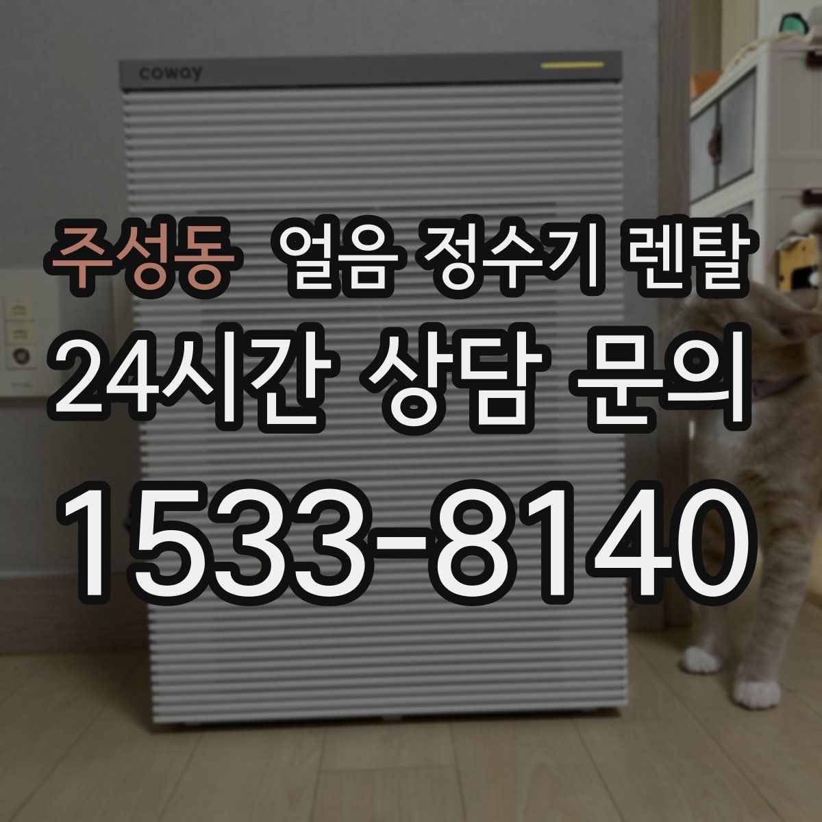 주성동 얼음 정수기 렌탈