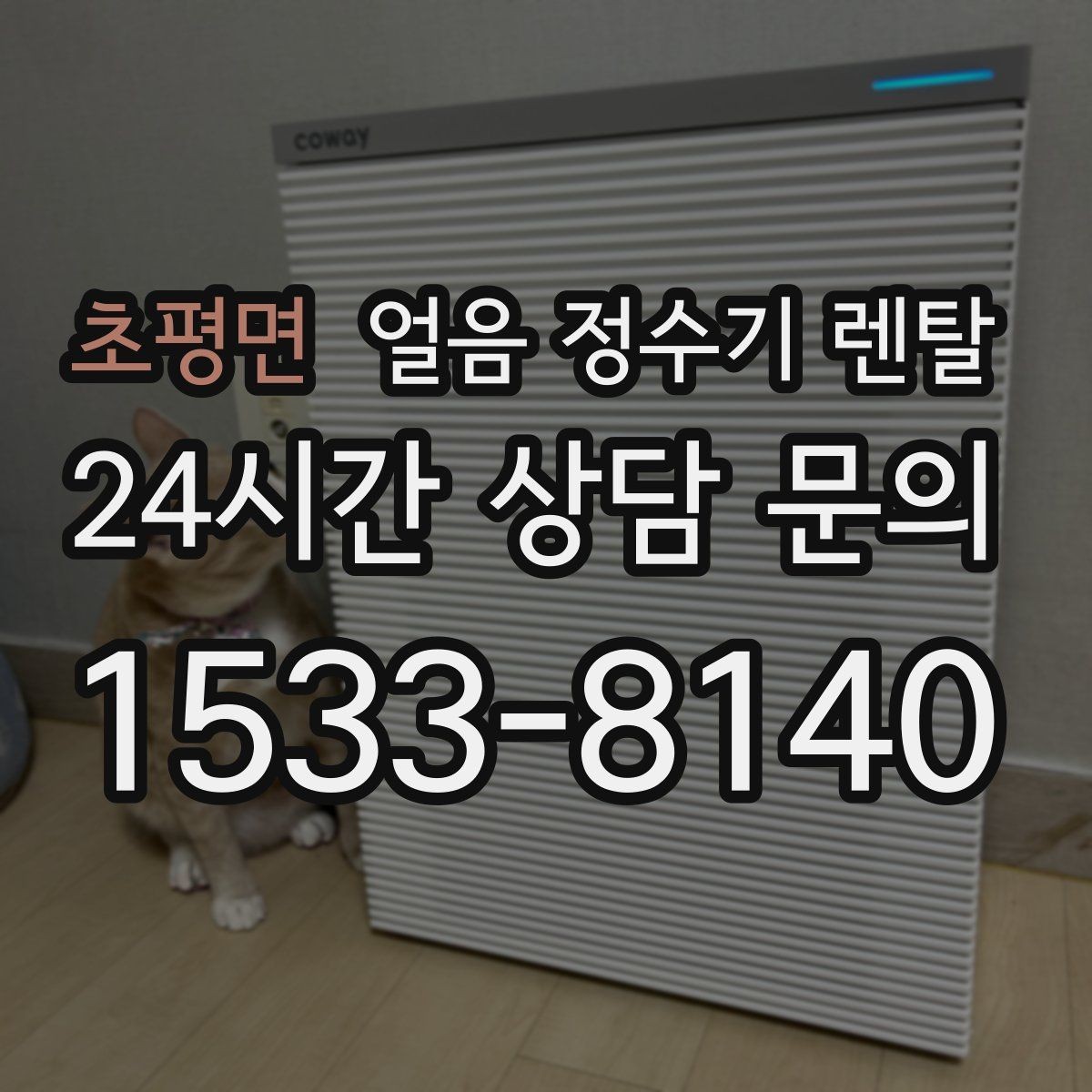 초평면 얼음 정수기 렌탈 렌탈료 비교할 때 꼭 확인할 포함 항목