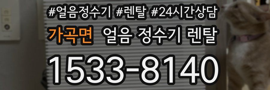 가곡면 얼음 정수기 렌탈