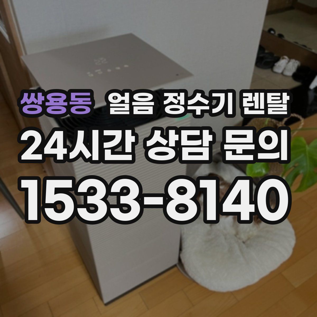 쌍용동 얼음 정수기 렌탈