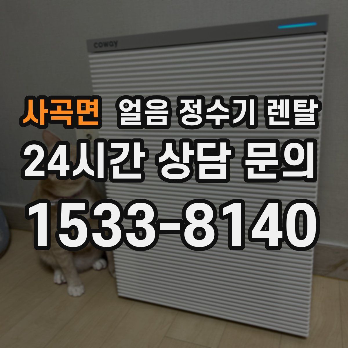 사곡면 얼음 정수기 렌탈