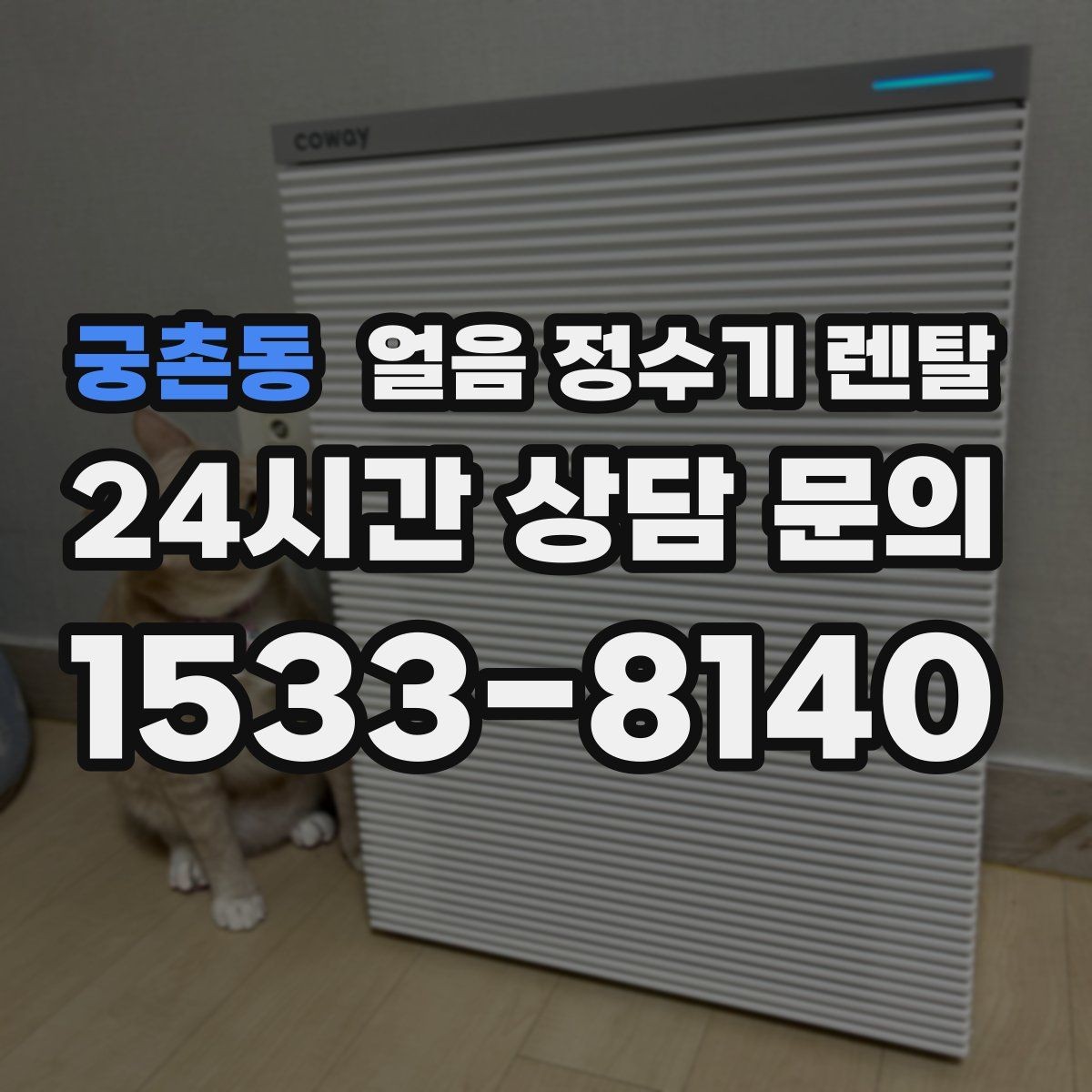 궁촌동 얼음 정수기 렌탈 하루 얼음 사용량으로 모델 고르는 방법