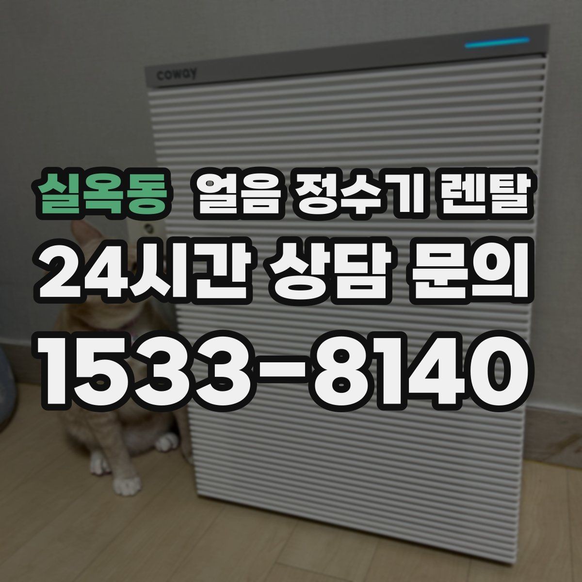 실옥동 얼음 정수기 렌탈 얼음과 탄산 조합이 편해지는 이유