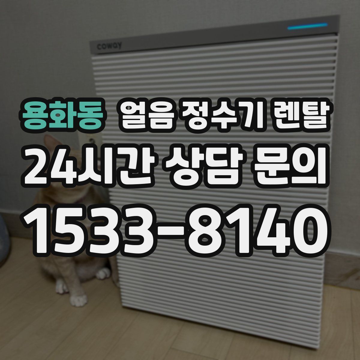 용화동 얼음 정수기 렌탈