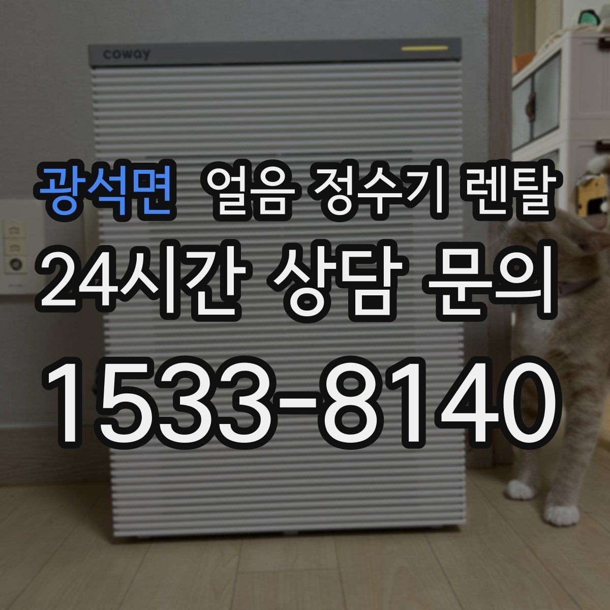 광석면 얼음 정수기 렌탈 하부장 공간이 작은 집 설치 팁