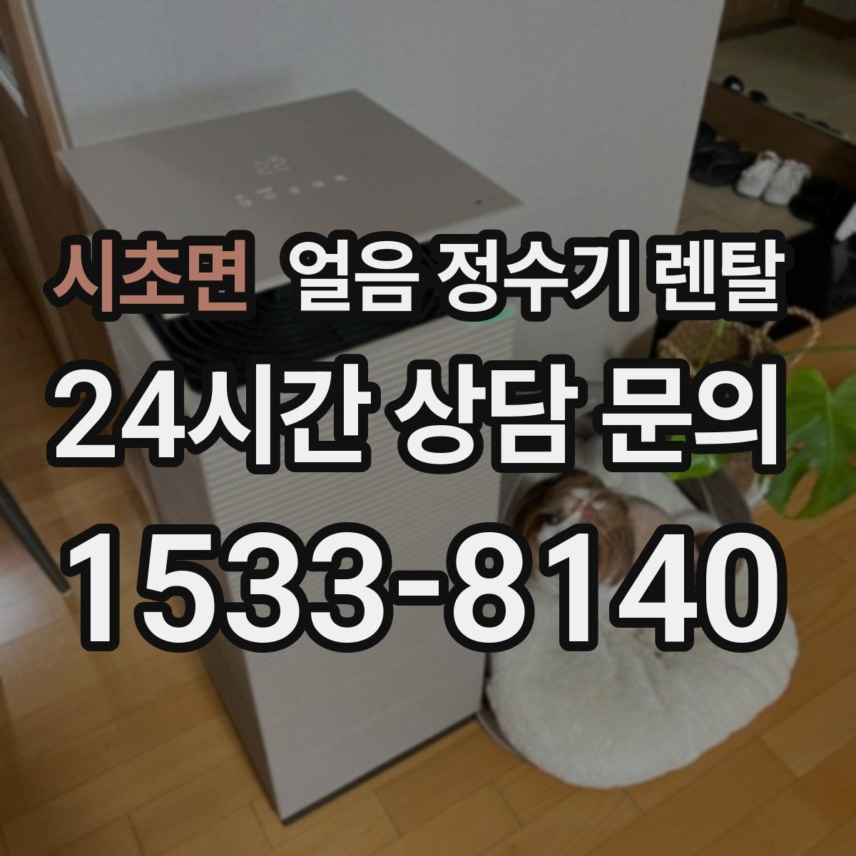 시초면 얼음 정수기 렌탈 제빙 속도가 중요한 이유를 쉽게 정리