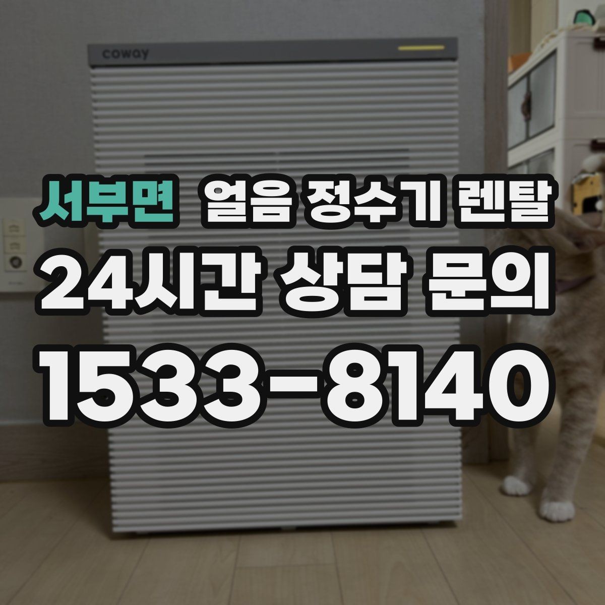서부면 얼음 정수기 렌탈 소음이 걱정될 때 확인할 포인트