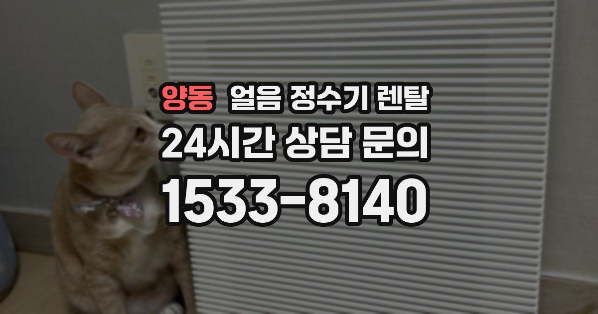 양동 얼음 정수기 렌탈