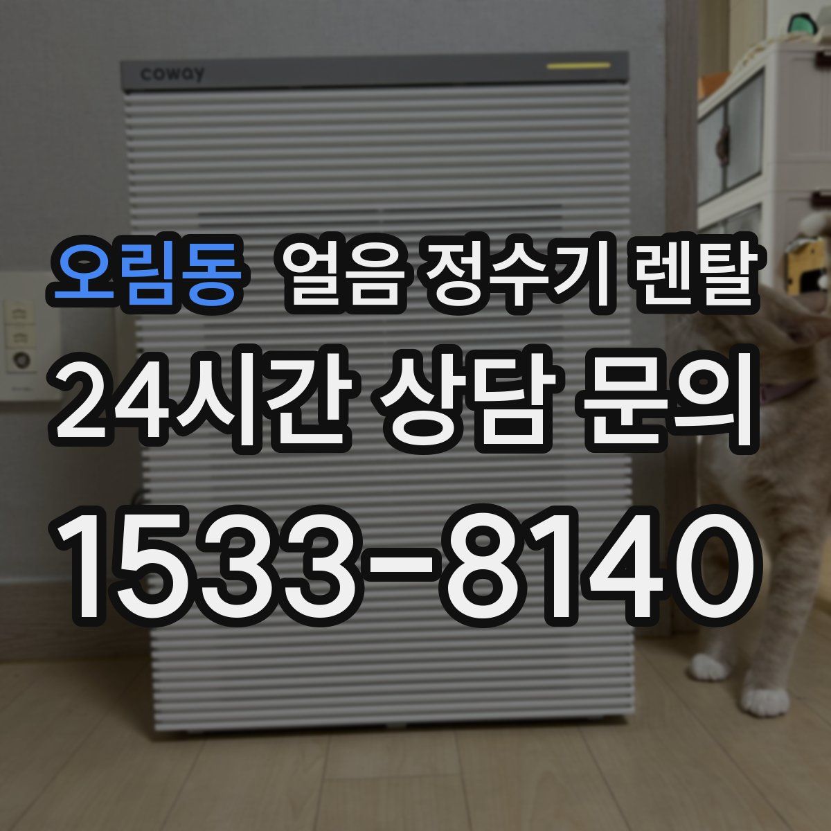 오림동 얼음 정수기 렌탈