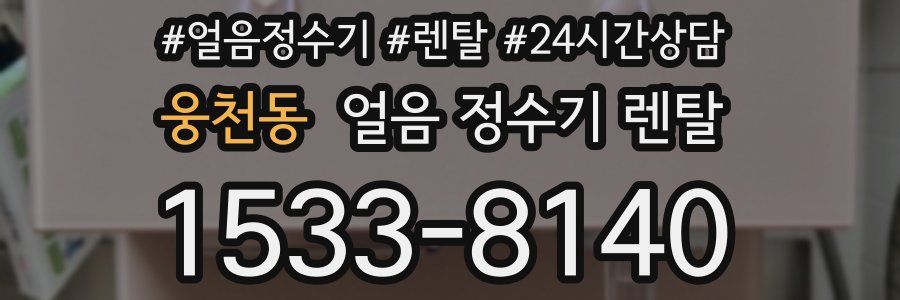 웅천동 얼음 정수기 렌탈