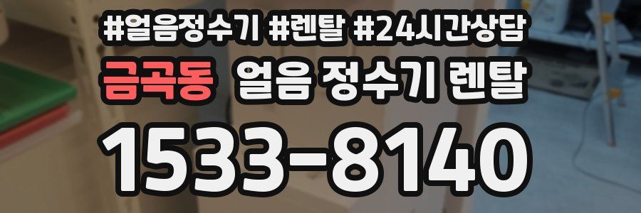 금곡동 얼음 정수기 렌탈