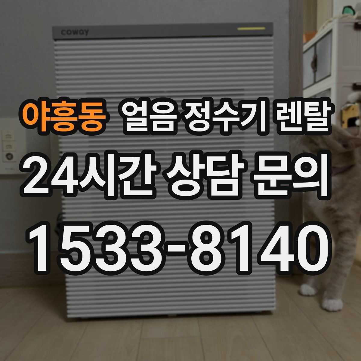 야흥동 얼음 정수기 렌탈