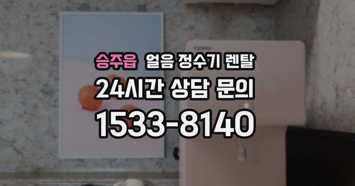 승주읍 얼음 정수기 렌탈